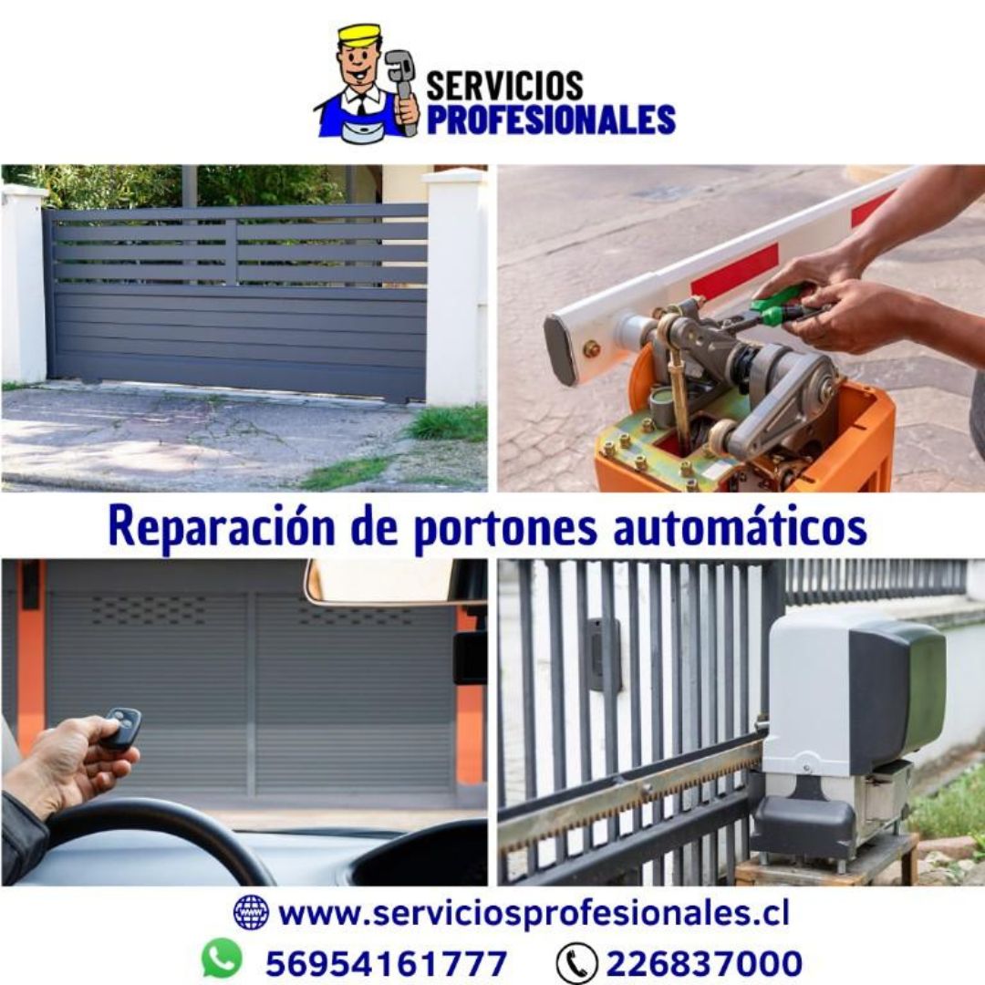 flyer serviciosprofesionales