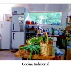 1 CASA - cocina profesional