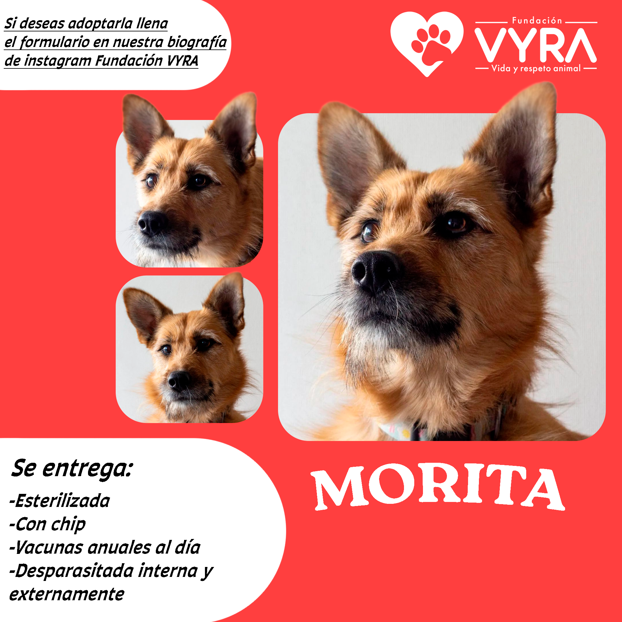 Morita