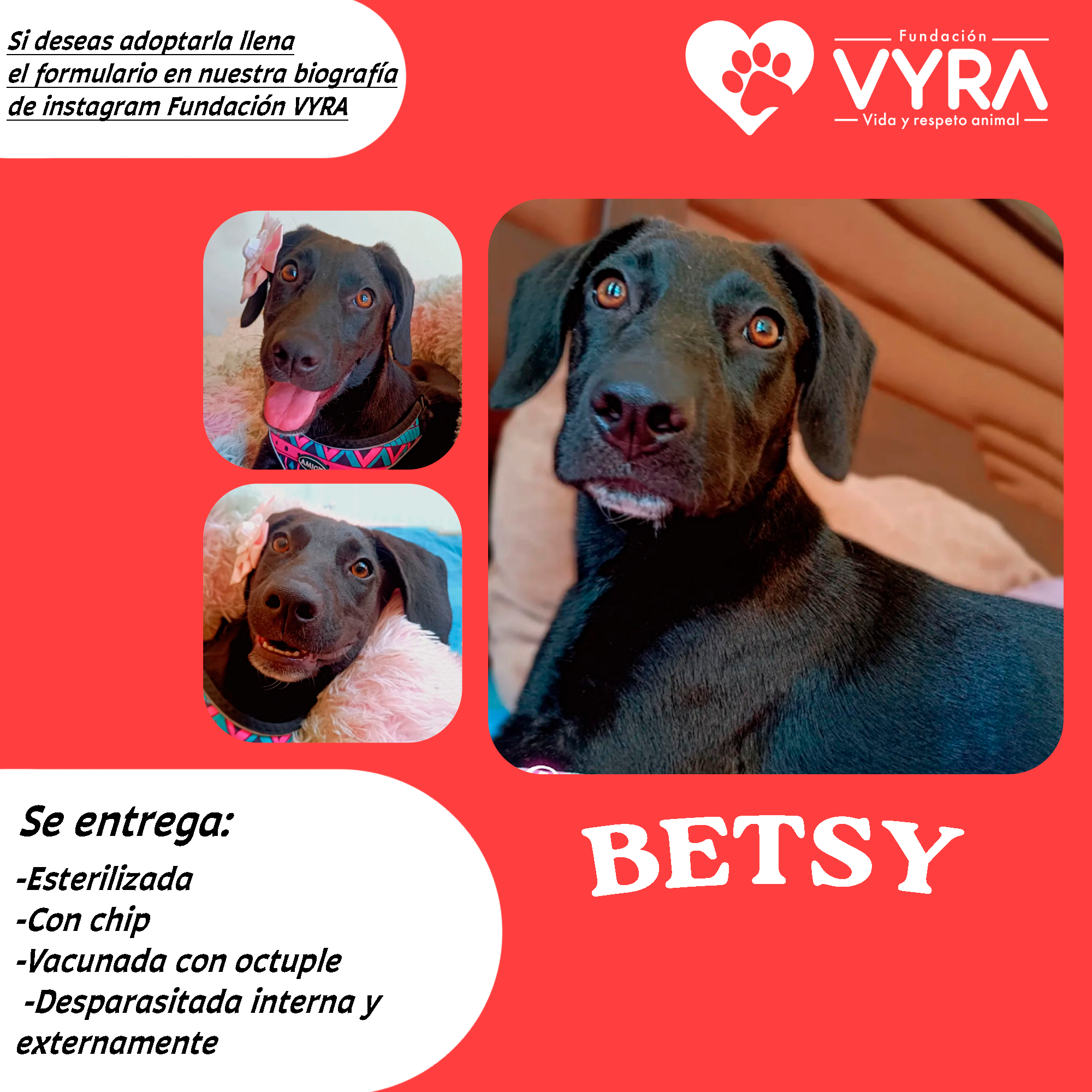 Betsy