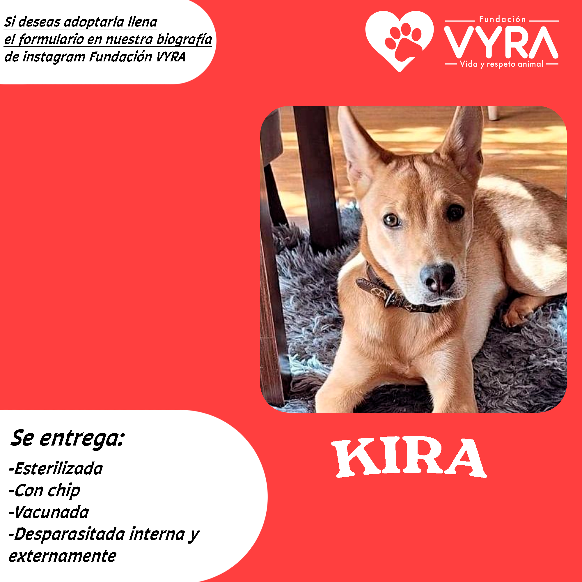 Kira